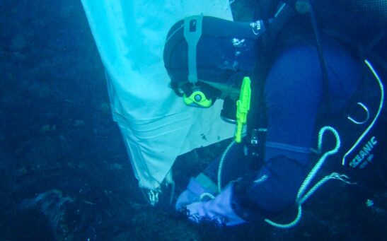 DSC02375 01ca Bussejador