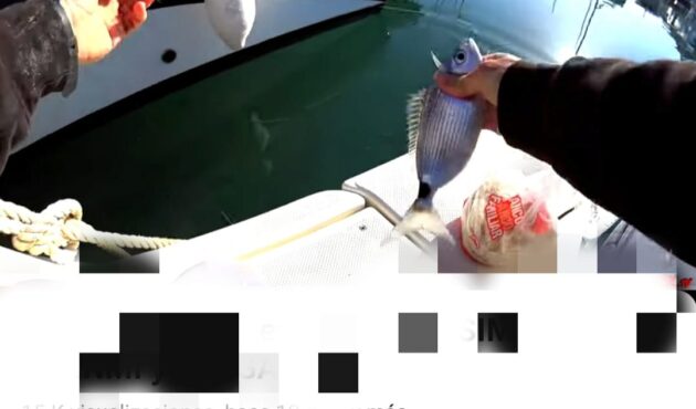 Pesca il·legal