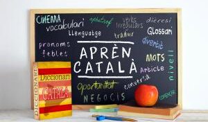 Instruccions per als examinands