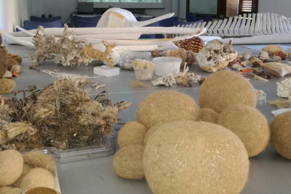 Materials d'educació ambiental