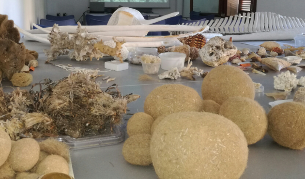 Materiales de educación ambiental