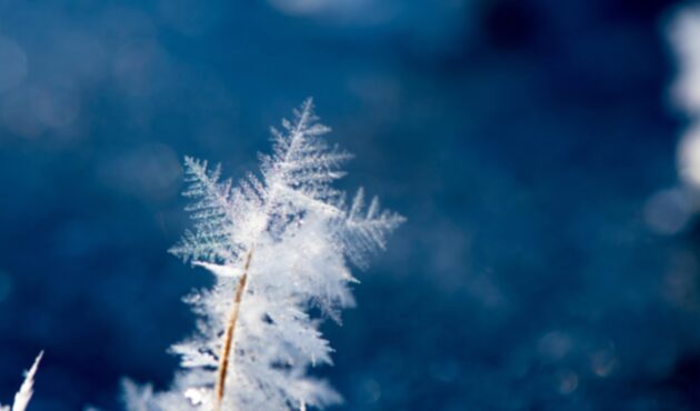 NOUS GASOS REFRIGERANTS