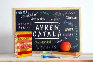 Certificats de llengua catalana