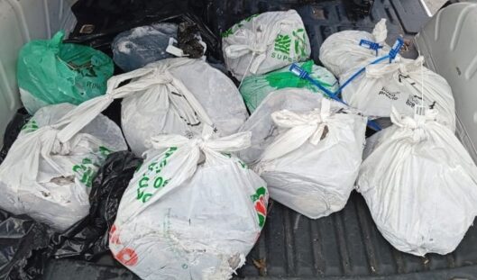 Els 60 kg de pop estaven distribuïts en diverses bosses de plàstic.