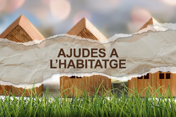 Ajudes a l'habitatge