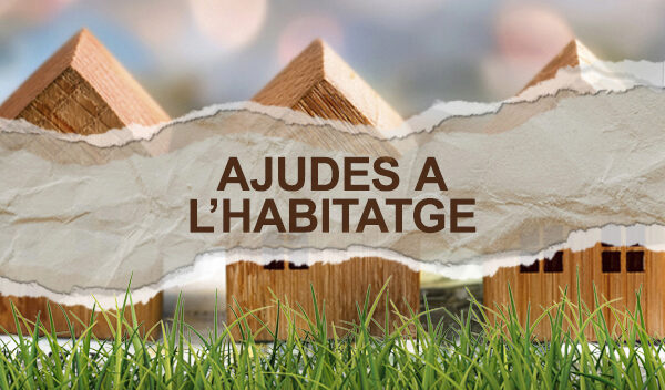 Ajudes a l'habitatge