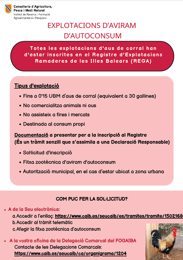 infografia Aviram Mallorca modificada.IMG.png Infografia