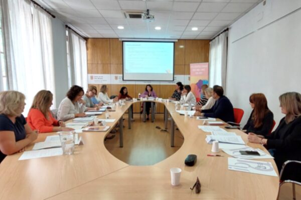 Consell rector de l'IBDONA