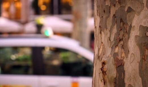 Imatge d'un taxi