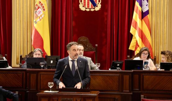 Imatge del conseller al Parlament