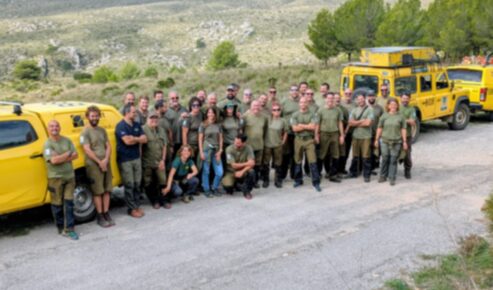 Participants en les feines de reforestació