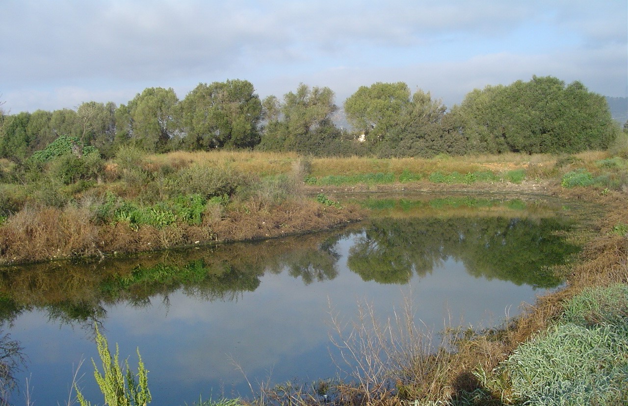 Lagunas de evaporación e infiltración de Binissalem