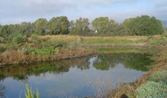 Llacunes d’evaporació i infiltració de Binissalem