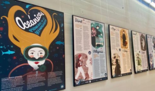 L'exposició \