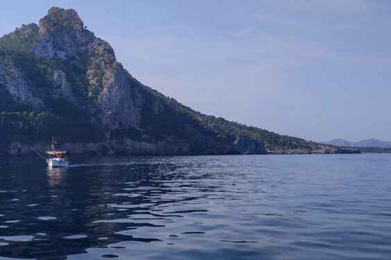 Reserva Marina del Llevant de Mallorca.