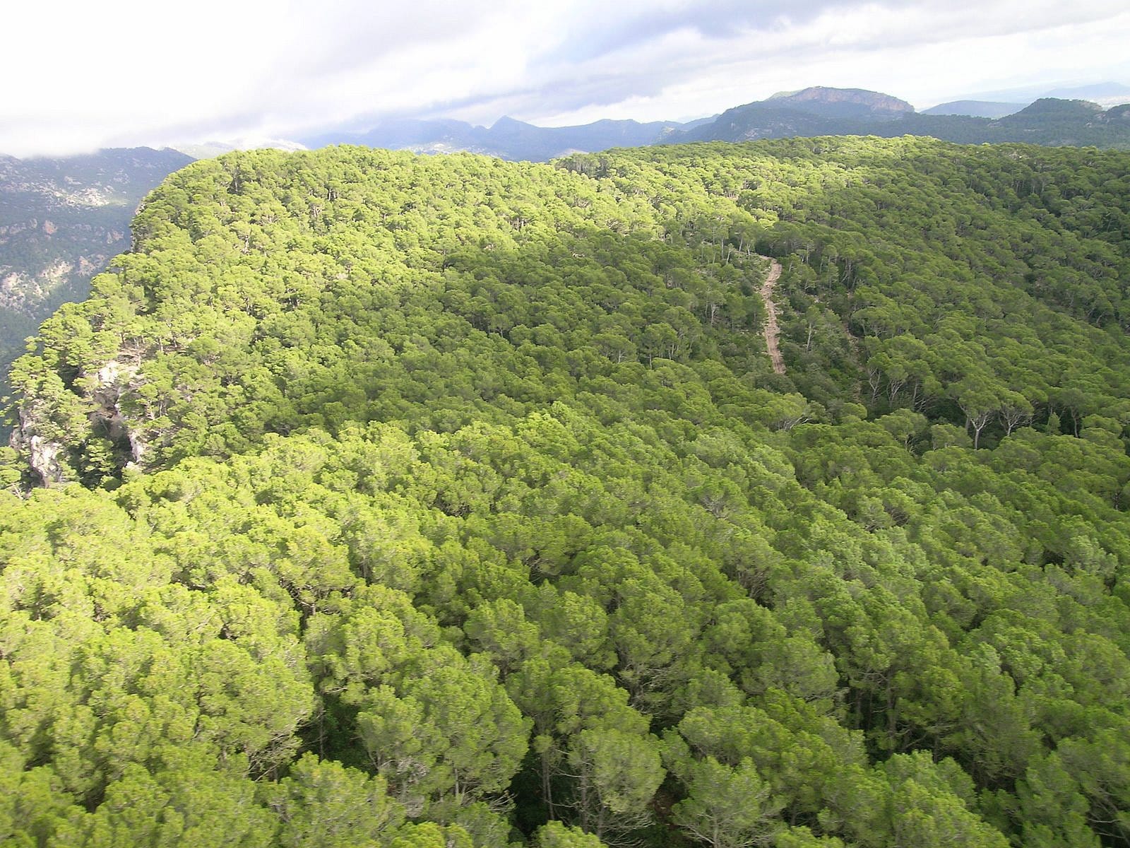La Comuna de Bunyola.