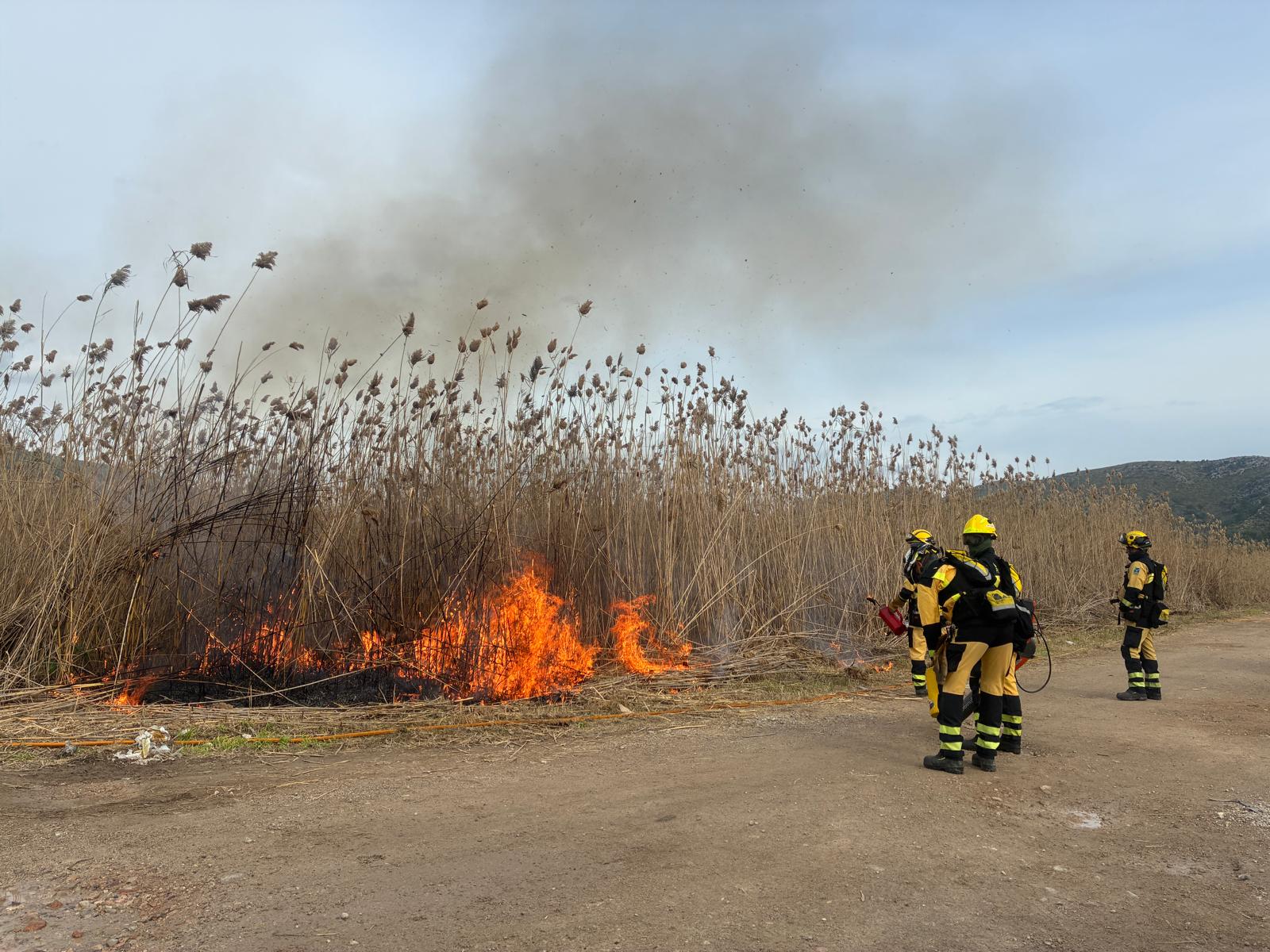 Actuació de cremes controlades al Parc Natural de s'Albufera de Mallorca.