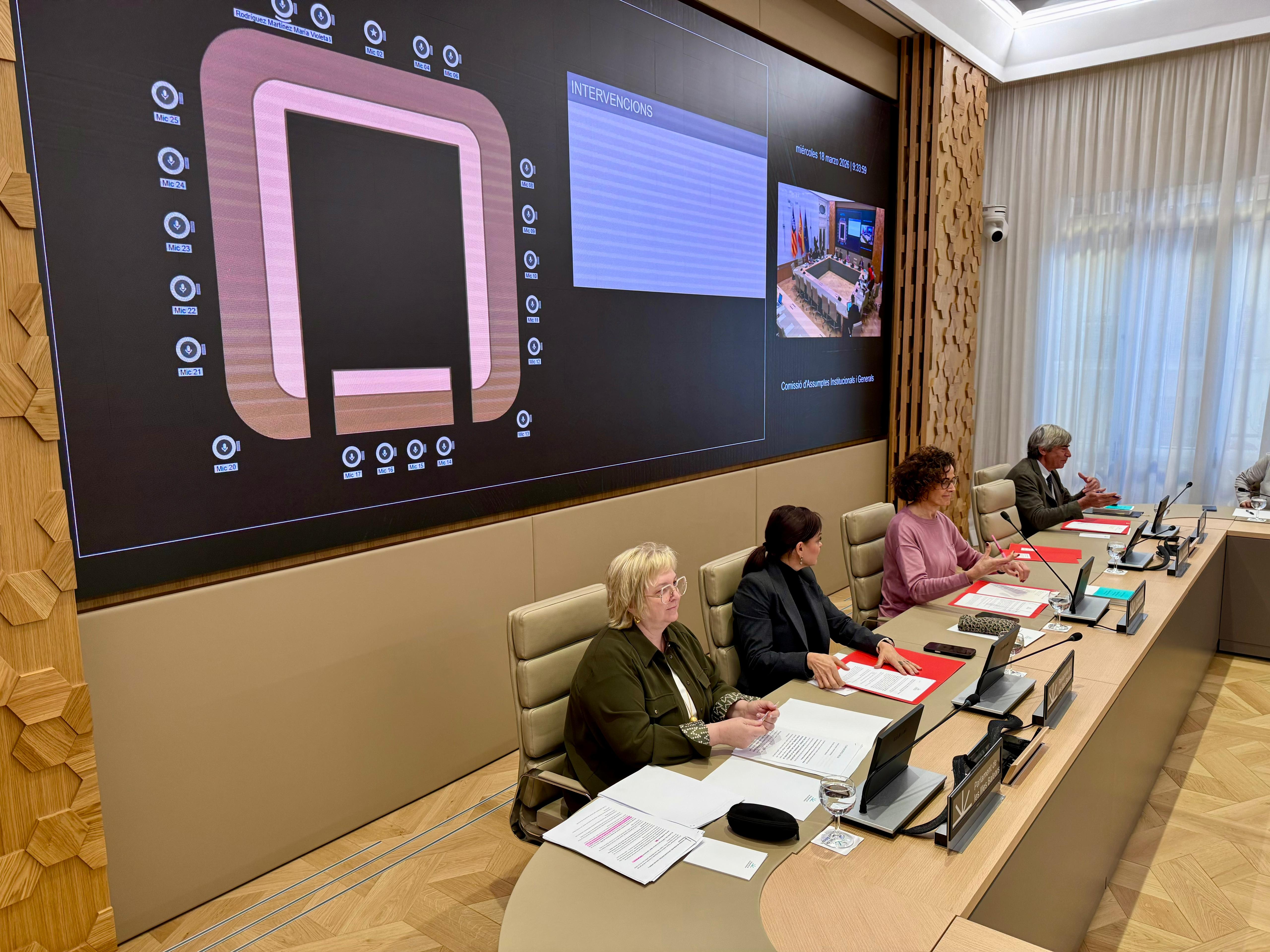 La directora general de Funció Pública durant la seva compareixença al Parlament