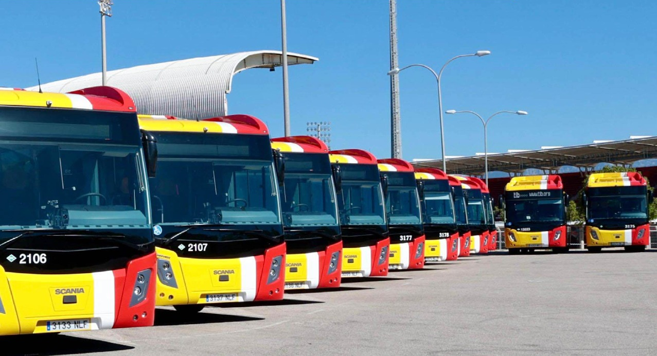 Busos del TIB