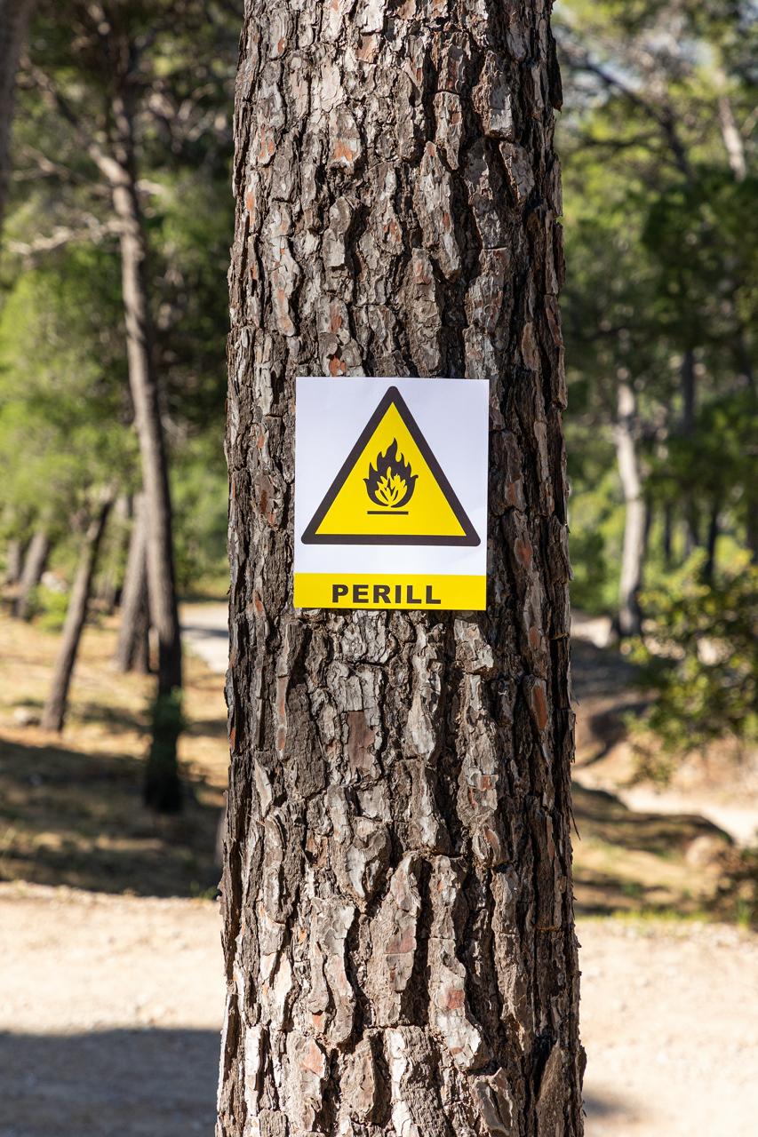Cartel del peligro de incendio sobre un árbol