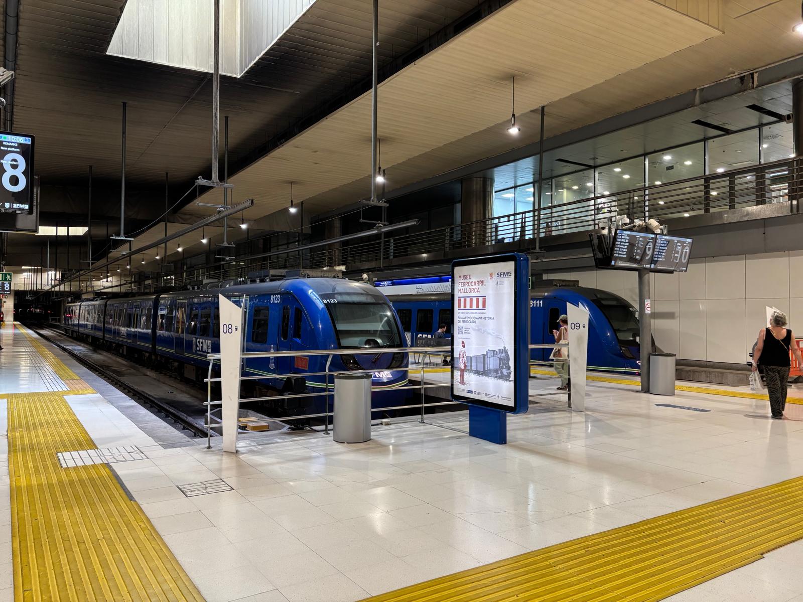 Trens de l'SFM a l'estació Intermodal.