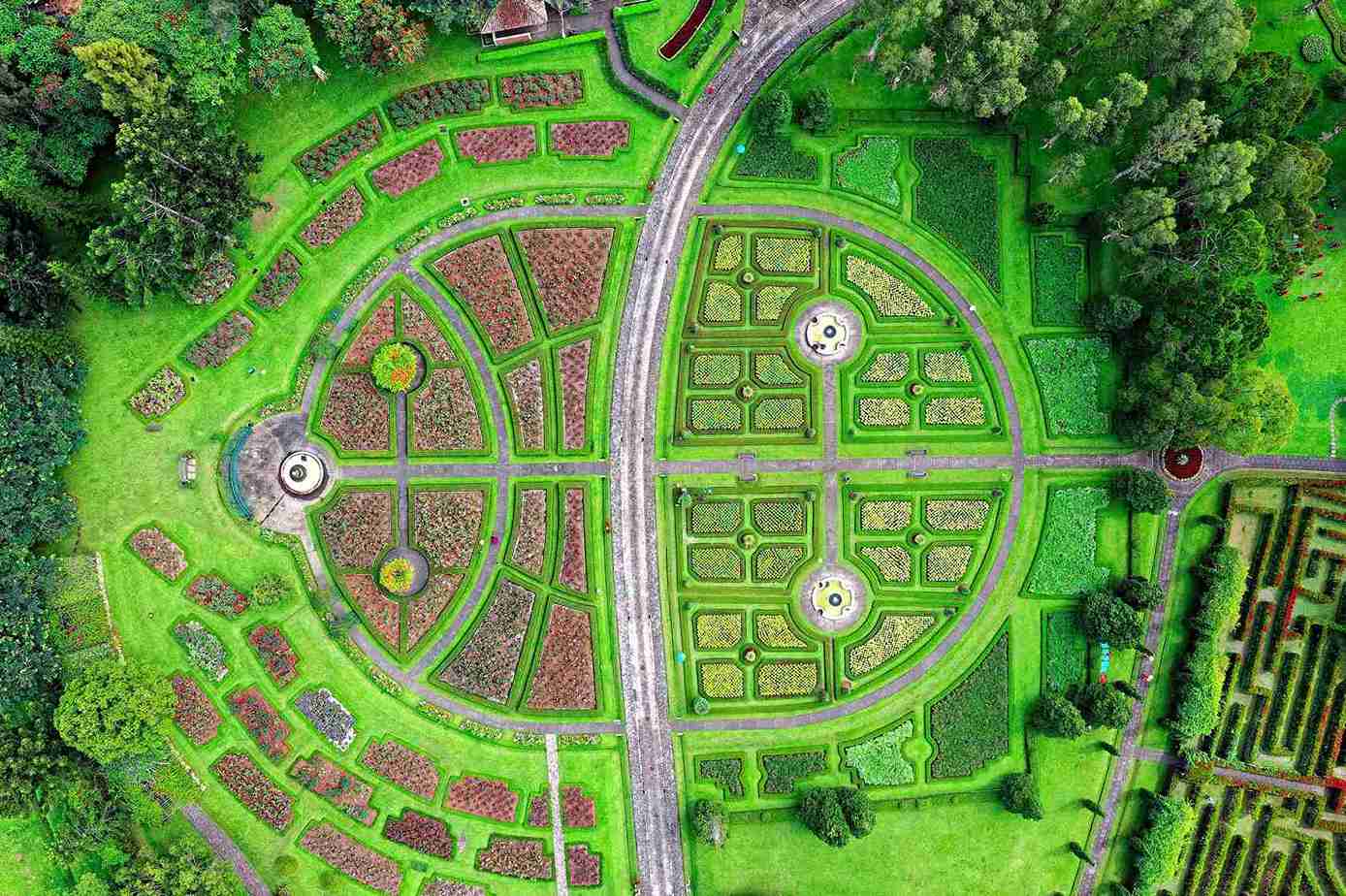DISSENY DE JARDINS
