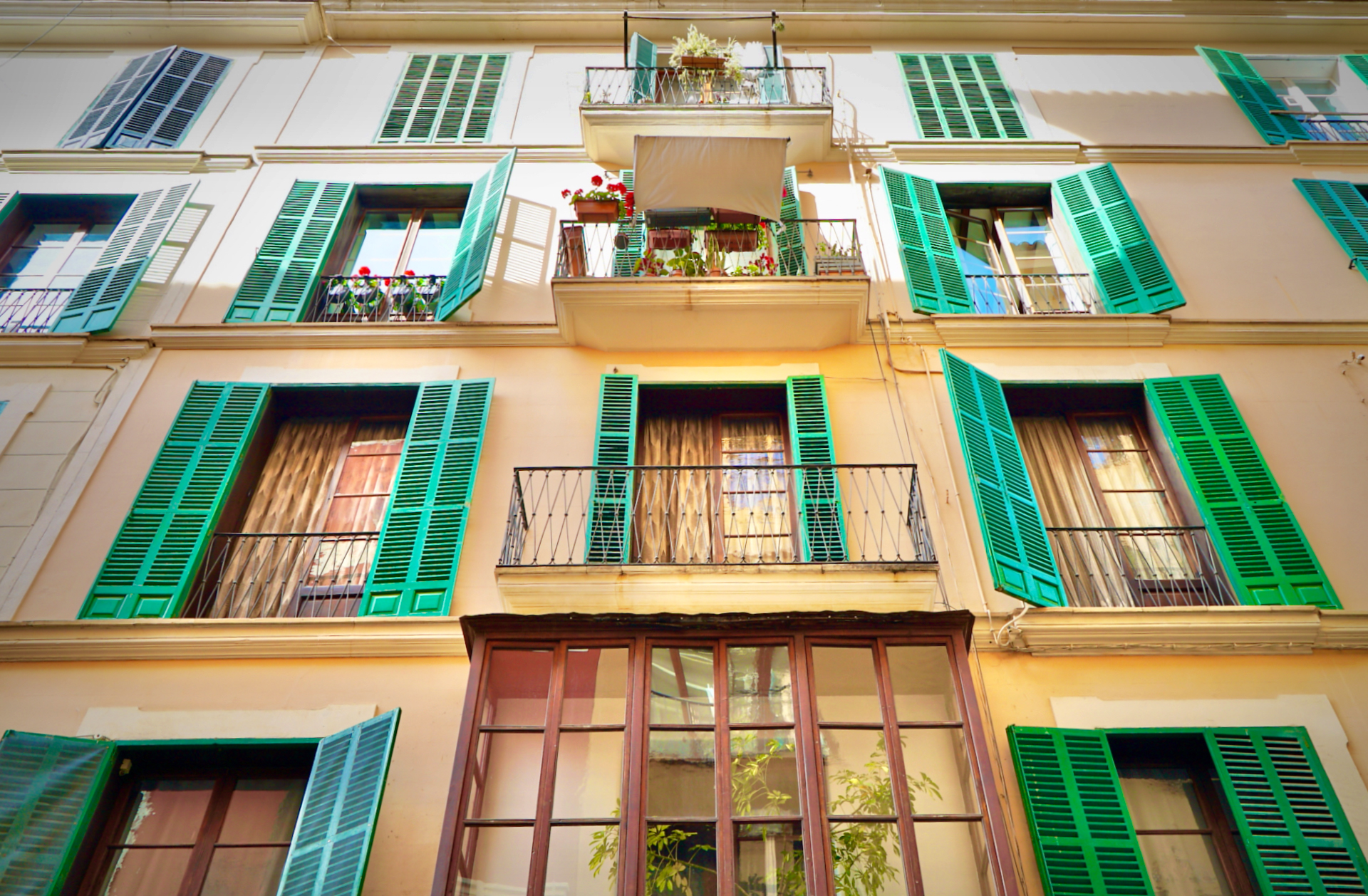 Persianes verdes en un edifici del casc antic de Palma