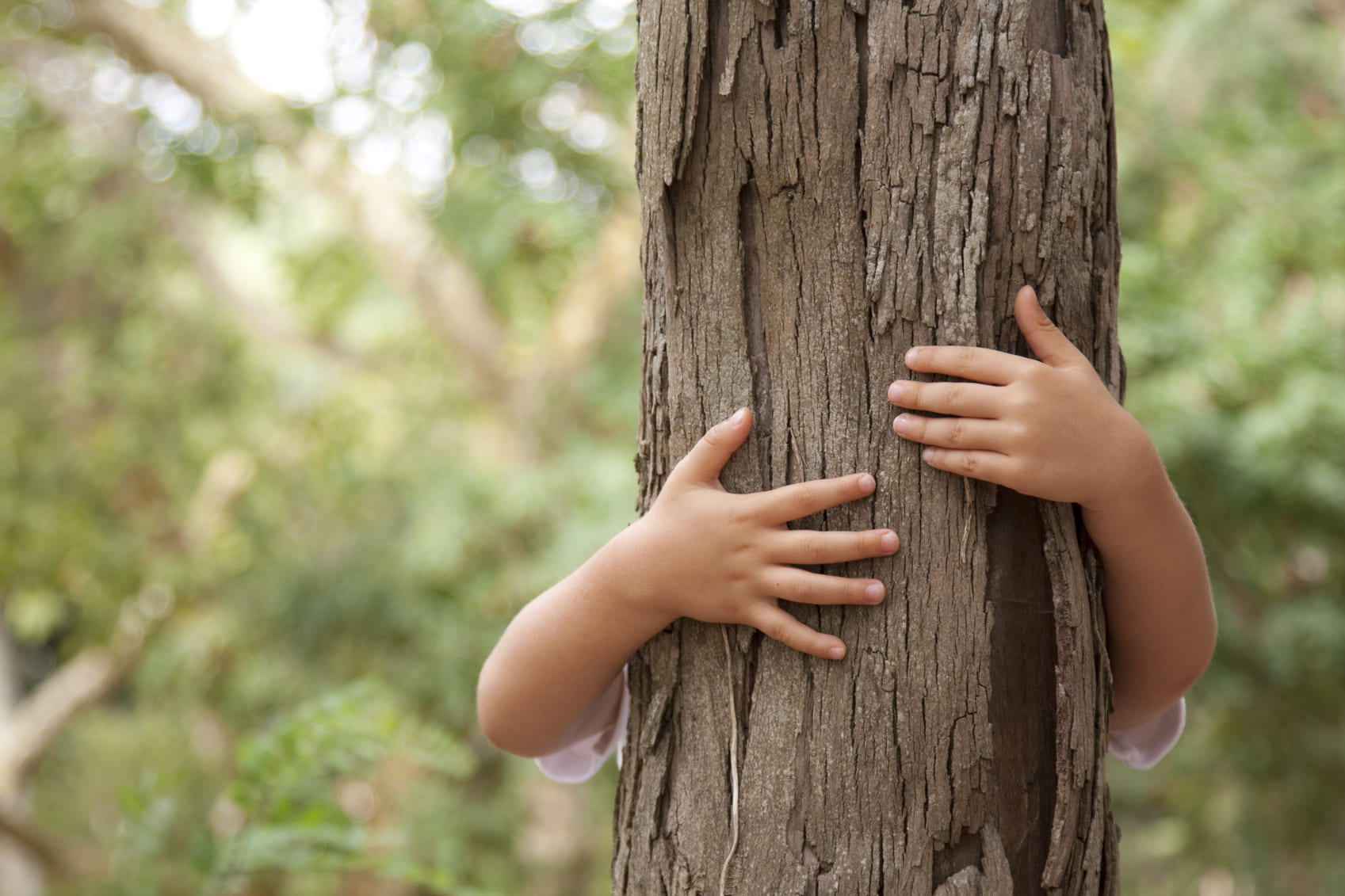 Trobar l'equilibir entre el creixement i el respecte la natura és essencial.
