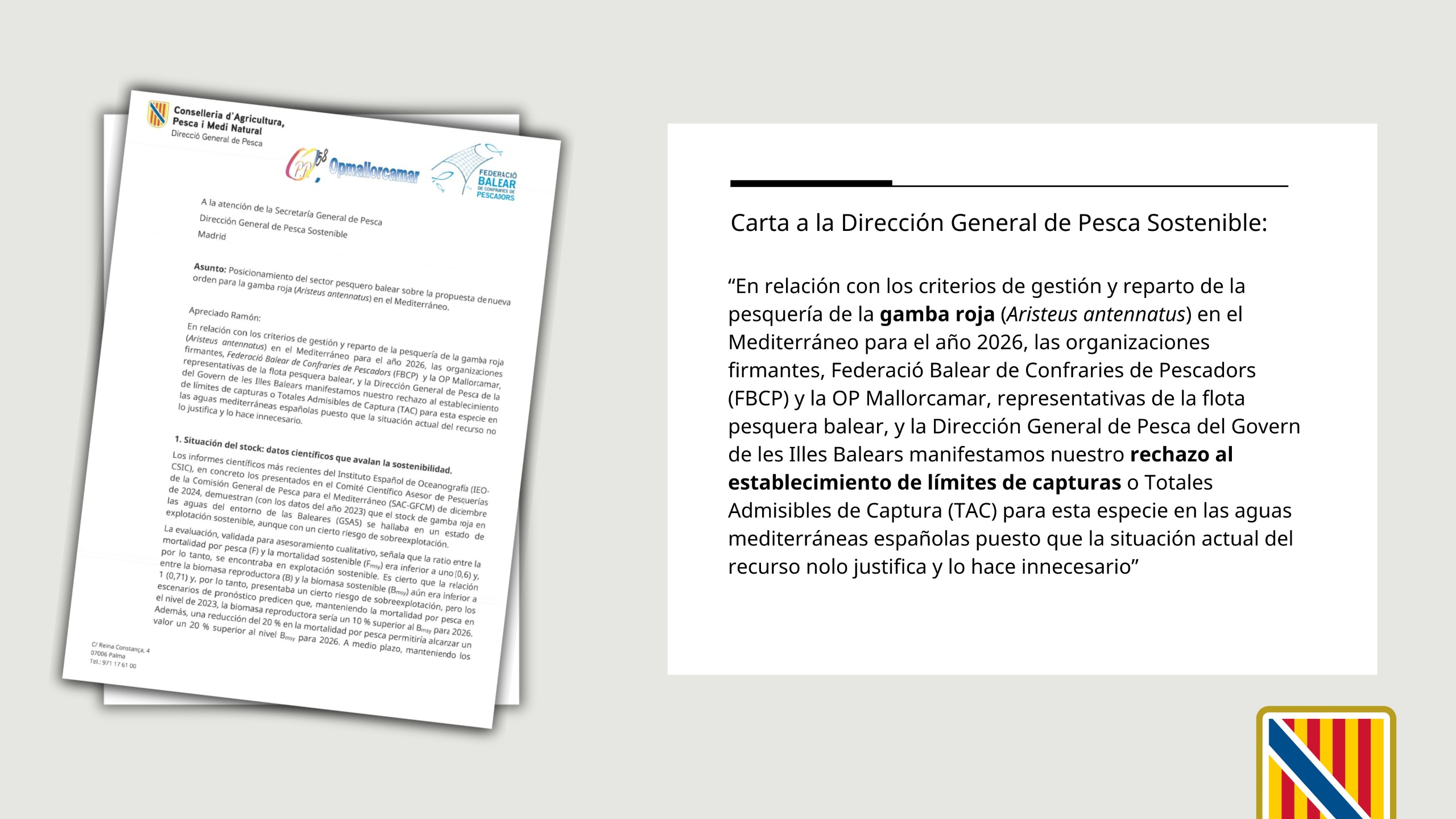 Imatge de la carta enviada a la Dirección General de Pesca Sostenible.