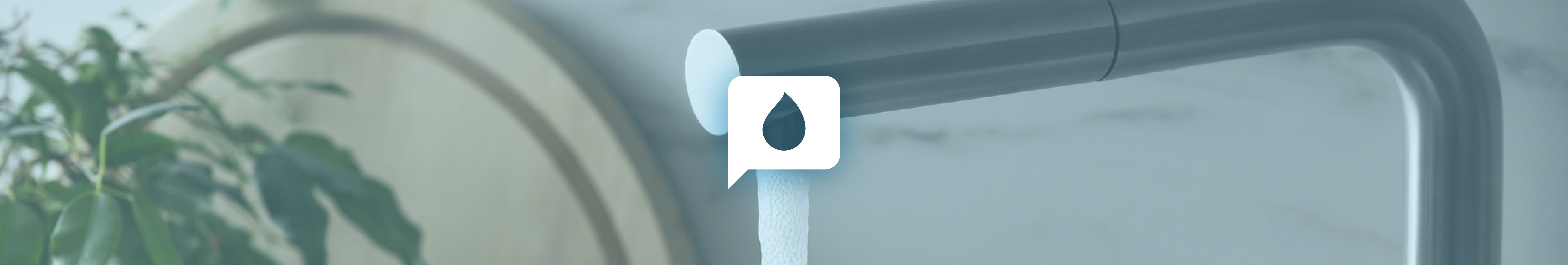 Imatge banner