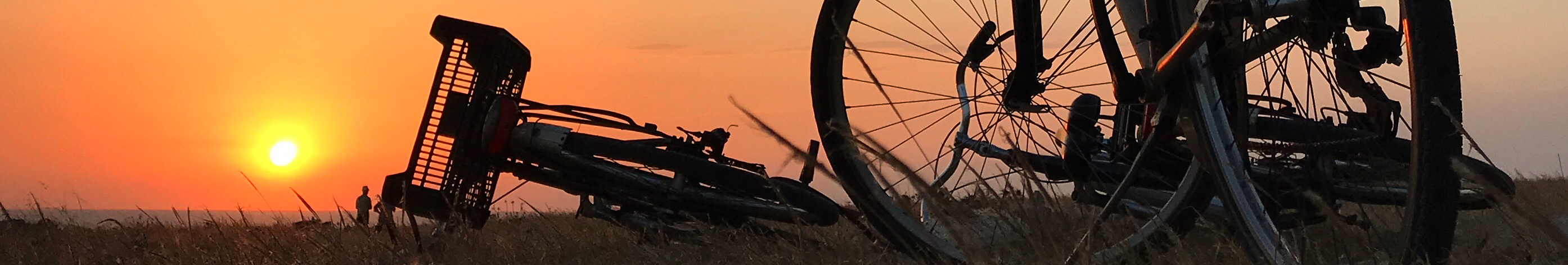 Bicicletes