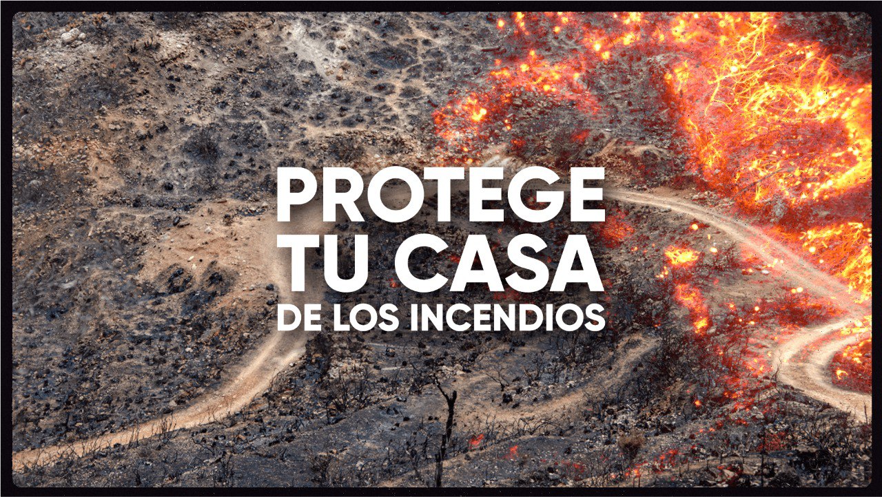 bosque quemado por el fuego