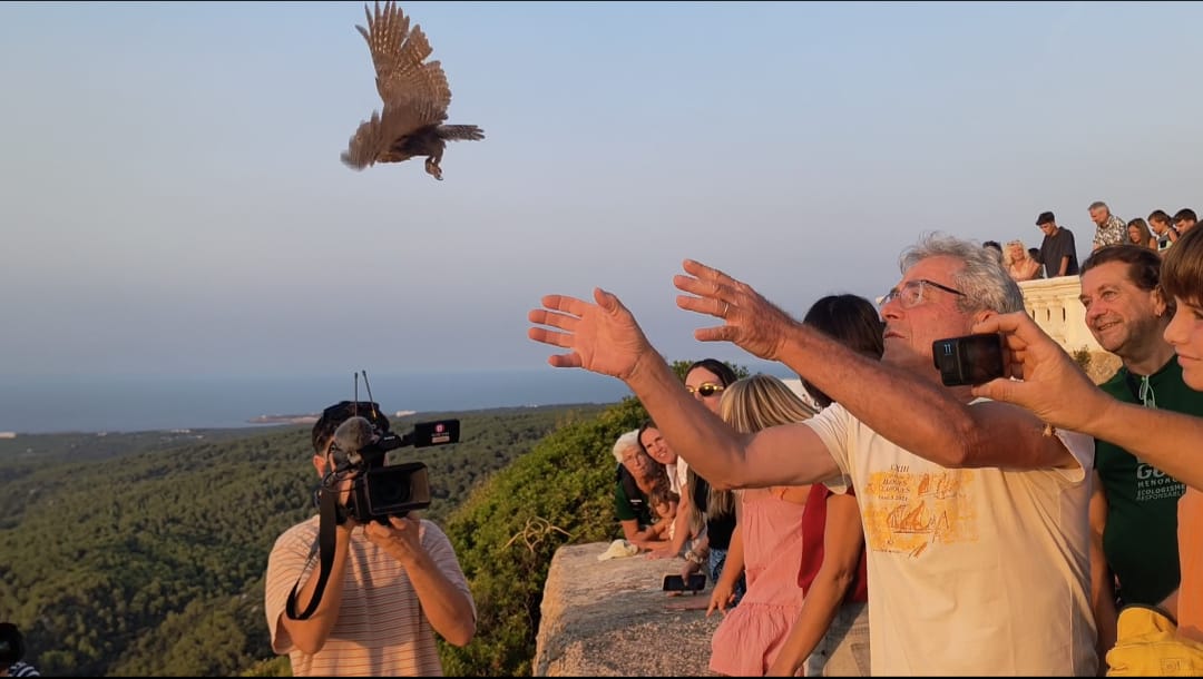 Imatge de l'amollada d'un mussolet