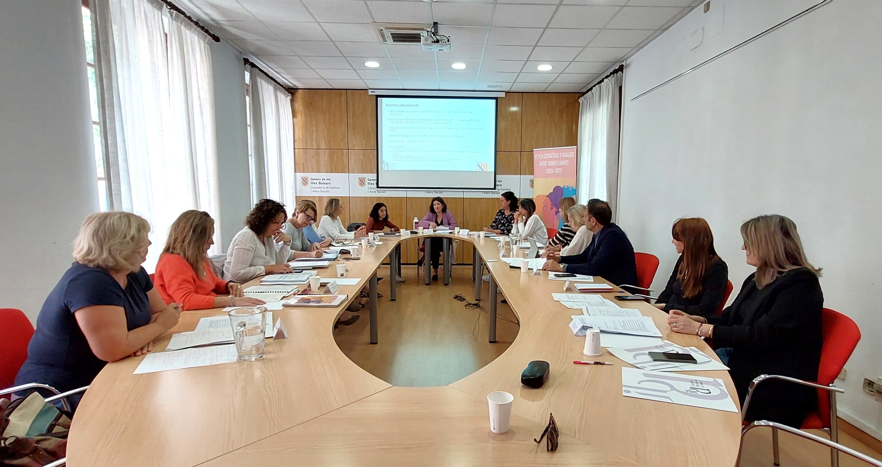 Consell rector de l'IBDONA