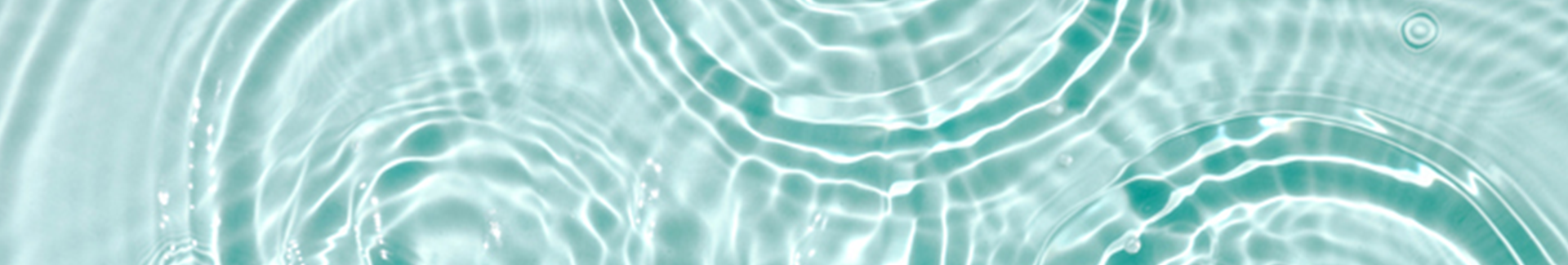 Imatge banner